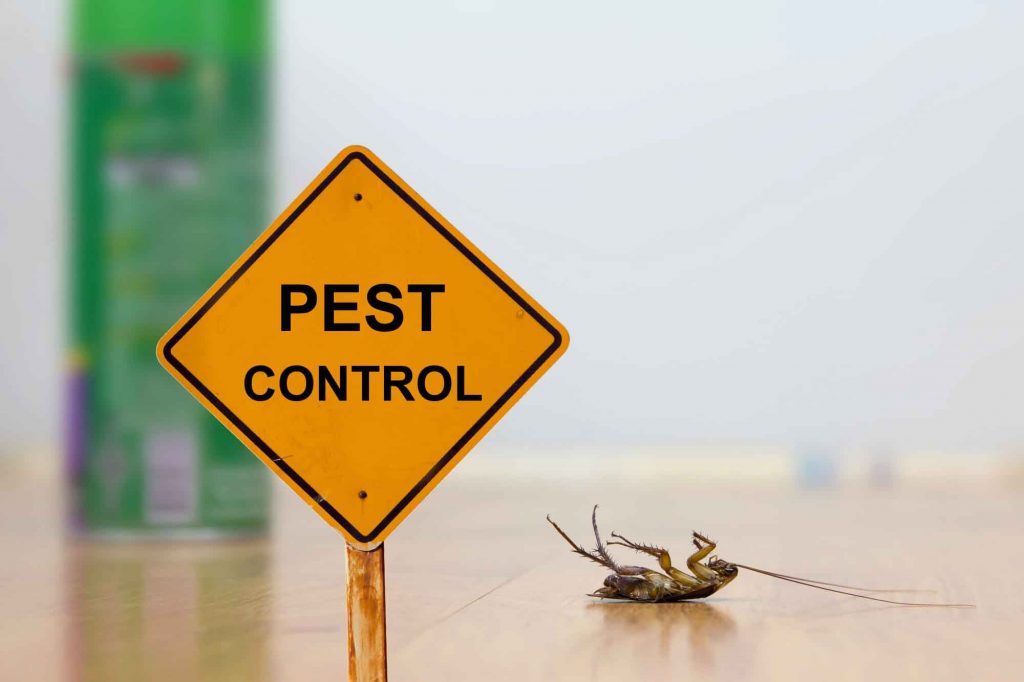 Hiring A Pest Management – Ask the Questions before You Choose