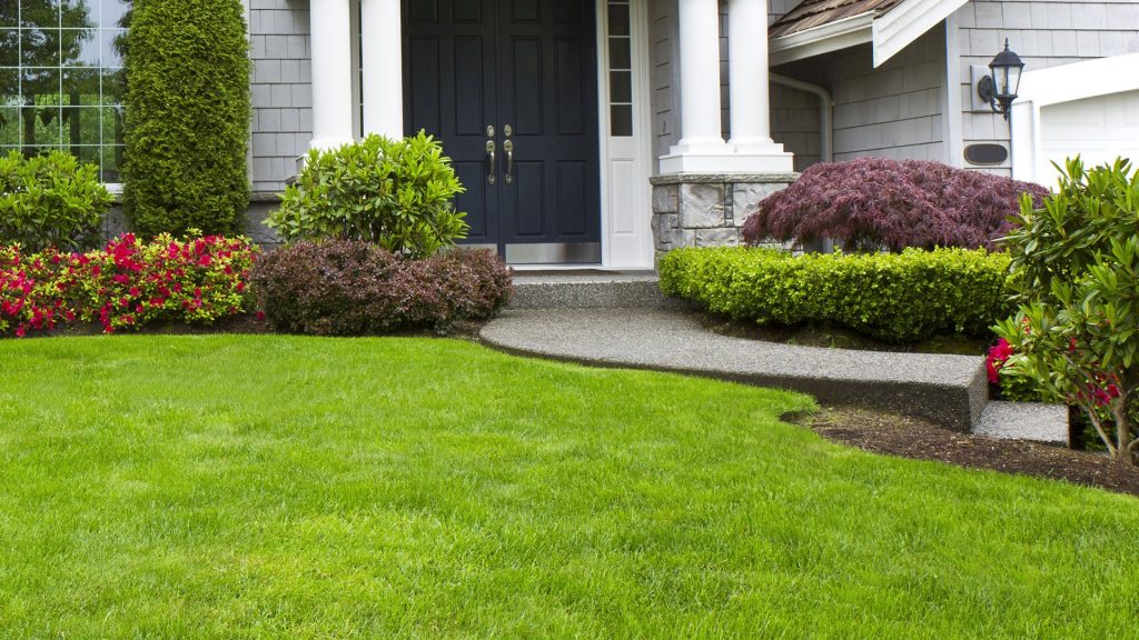 Questions to Ask the Landscaping Company before Hiring their Services