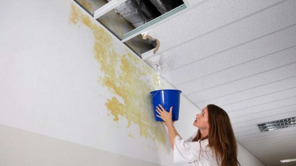 Should You Engage A Water Leakage Specialist