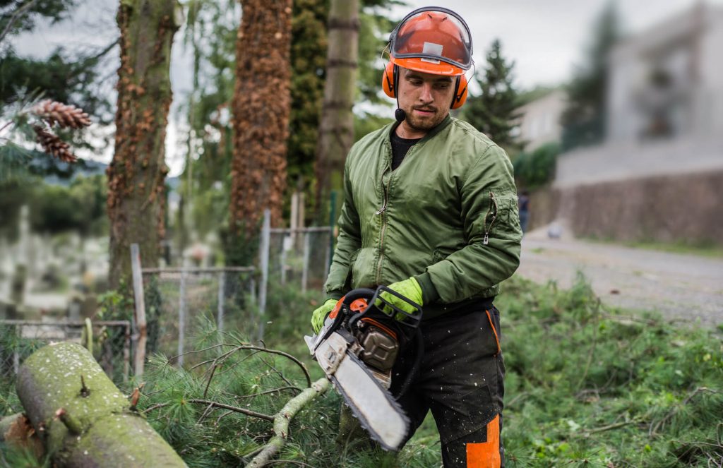 Characteristics of a Tree Removal Service Company