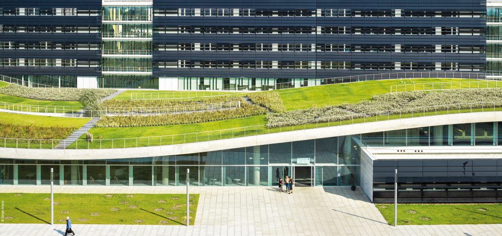 Green roofs as a modern concept of green building