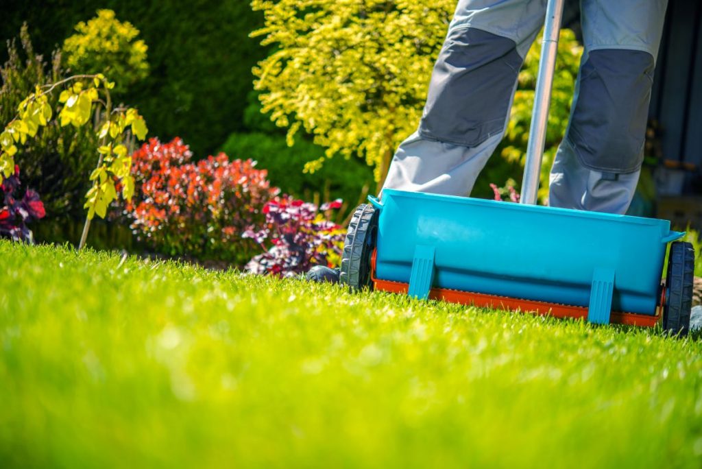 How to Choose the Best Products for Your Yard