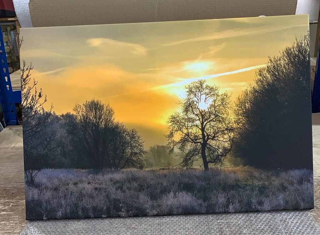 Wedding Photos on Canvas