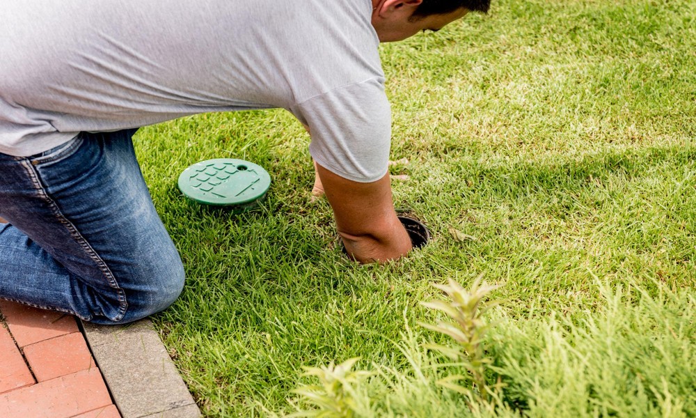 How to Get Rid of Termites Before They Cause Serious Damage