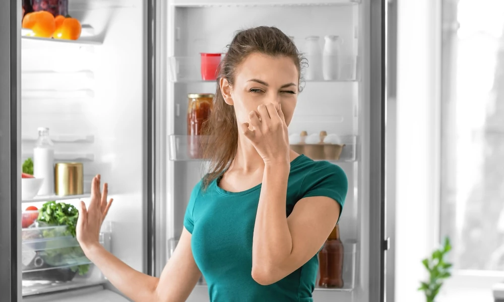 How Regular Refrigerator Repair and Maintenance Can Extend Appliance Life by 10 Years or More