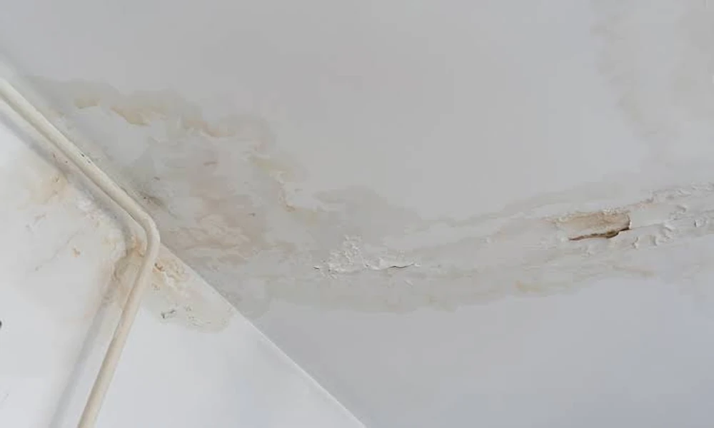 A Room by Room Guide to Finding Hidden Leaks